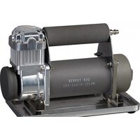 Беркут R20