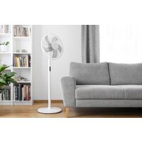 Sencor SFN 4070WH Image #11