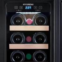 Винный шкаф Hyundai HBWC 0831 SU - Превью изображения №8 — Интернет-магазин Your Sale