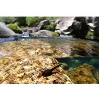 Olympus Tough TG-7 (черный) Image #10