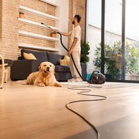 Cecotec Conga Rockstar Cyclonic XL ProAnimal Image #7