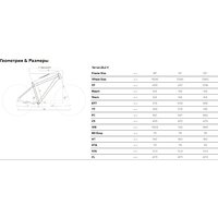 Stark Terros 28.2 V р.20 2024 Image #3