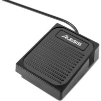 Alesis Concert Image #4