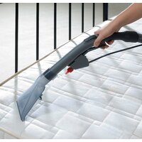 Thomas Allergy & Family [788585] Image #6