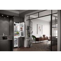 Холодильник Liebherr ICBNdi 5173 Peak BioFresh NoFrost - Превью изображения №4 — Интернет-магазин Your Sale