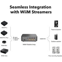 Усилитель мощности WiiM Vibelink Amp (серый) - Превью изображения №2 — Интернет-магазин Your Sale