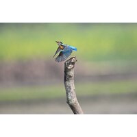 Nikon Z6 III Body Image #27