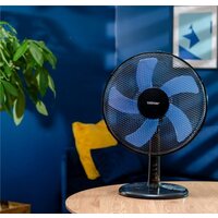 Zelmer ZTF0300 Image #2