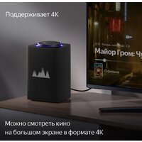 Яндекс Станция Макс (с хабом умного дома Zigbee, графит) Image #5