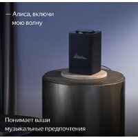 Яндекс Станция Макс (с хабом умного дома Zigbee, графит) Image #9