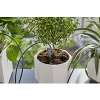 Шланг для капельного полива Gardena 13366-20 (30 м) - Превью изображения №5 — Интернет-магазин Your Sale