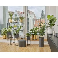 Шланг для капельного полива Gardena 13366-20 (30 м) - Превью изображения №3 — Интернет-магазин Your Sale