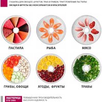 Сушилка для овощей и фруктов Мастерица EFD-5000 - Превью изображения №13 — Интернет-магазин Your Sale