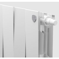 Royal Thermo PianoForte 500 VDR Silver Satin (6 секций) Image #4