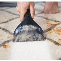 Пылесос Bissell SpotClean Pro 1558N - Превью изображения №3 — Интернет-магазин Your Sale