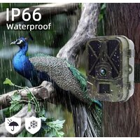 Фотоловушка Suntek HC-940A - Превью изображения №4 — Интернет-магазин Your Sale