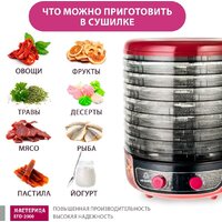 Сушилка для овощей и фруктов Мастерица EFD-2000 - Превью изображения №2 — Интернет-магазин Your Sale