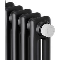 Royal Thermo Insignia VC2180 - 12 секций RAL9005m Image #3