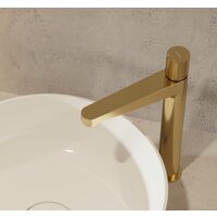 Omnires CT8012GLB Image #2