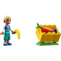 Конструктор LEGO Friends 41701 Рынок уличной еды - Превью изображения №10 — Интернет-магазин Your Sale