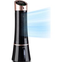 Klarstein Skyscraper Ice Smart (черный/серебристый)