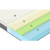 Vegas Mind 120x200 Image #2