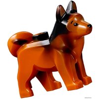 LEGO Jurassic World 75935 Поединок с бариониксом Image #9