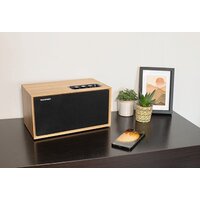 Беспроводная колонка Thomson WS502 - Превью изображения №5 — Интернет-магазин Your Sale