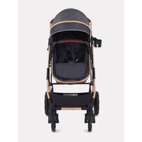 Rant Basic Pulsar Gold RA160 (2 в 1, grey) Image #13