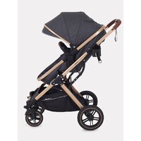 Rant Basic Pulsar Gold RA160 (2 в 1, grey) Image #11