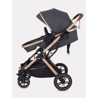 Rant Basic Pulsar Gold RA160 (2 в 1, grey) Image #12