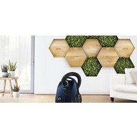 Bosch Serie 2 BGLS2BU2 Image #7