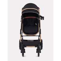 Rant Basic Pulsar Gold RA160 (2 в 1, black) Image #14