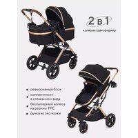 Rant Basic Pulsar Gold RA160 (2 в 1, black) Image #2