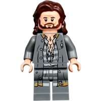 LEGO Harry Potter 75945 Экспекто Патронум Image #7