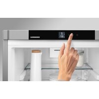 Liebherr CNsfd 5204 Pure Image #13