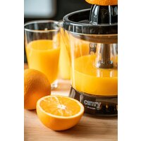 CAMRY CR 4008 Image #11