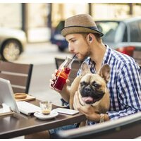 JVC HA-A10T (черный) Image #8