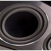 Paradigm Millenia LP XL Image #10