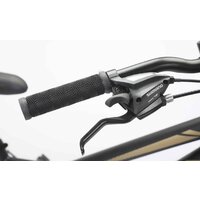 Delta Street 24 2401 (черный/золотистый) Image #4