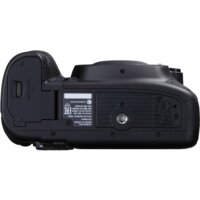 Зеркальный фотоаппарат Canon EOS 5D Mark IV Body - Превью изображения №6 — Интернет-магазин Your Sale