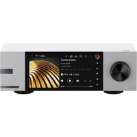 Eversolo DMP-A6 Master Edition Gen 2 (серебристый)