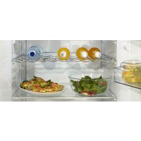 Однокамерный холодильник Gorenje R619EAW6 - Превью изображения №21 — Интернет-магазин Your Sale