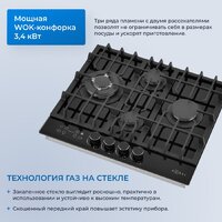 Варочная панель ZUGEL ZGH600X - Превью изображения №39 — Интернет-магазин Your Sale