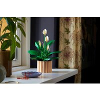 LEGO The Botanical Collection 11504 Мирная лилия Image #5