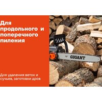 Электрическая пила Gigant GSAF-13 - Превью изображения №18 — Интернет-магазин Your Sale