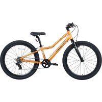 Maxiscoo 5Bike 24 2026 MSC-M5-2423 (оранжевый матовый)