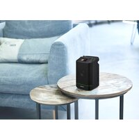 Радиоприемник Sangean Revery R4 - Превью изображения №9 — Интернет-магазин Your Sale