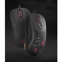 Genesis Xenon 800 Image #23