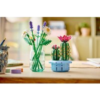 LEGO The Botanical Collection 11509 Цветущий кактус в горшке Image #8